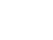 Fiz Seguro
